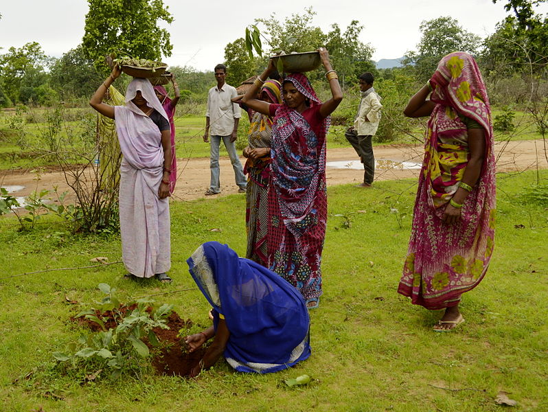 plantation